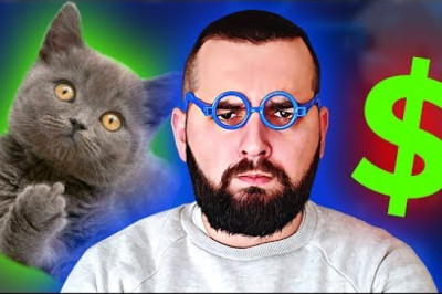 MAČKE ŽIVE NA TUĐOJ GRBAČI - Brejk'n Njuz #15