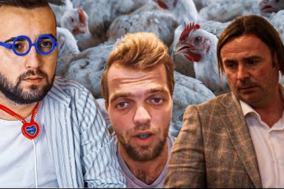 🐔 Pustolovine Elmedina ŠUGE &amp; Meme LOJE
