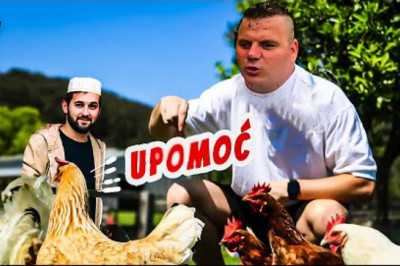 🐓 Hamdijin horoz DOZIVA u POMOĆ