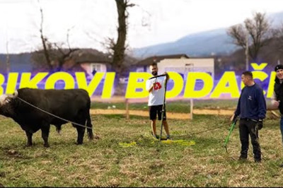 🐂 Nisam do sad ZNAO šta je BIK BODAČ