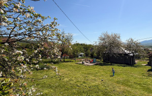 Bosnom behar probeharao